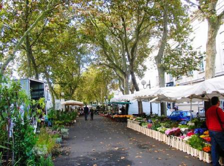 Tours flower market in the Loire Valley