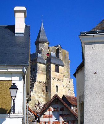 view of the chateau in le grand pressigny