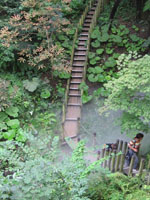 iron bridge at Chaumont garden festival