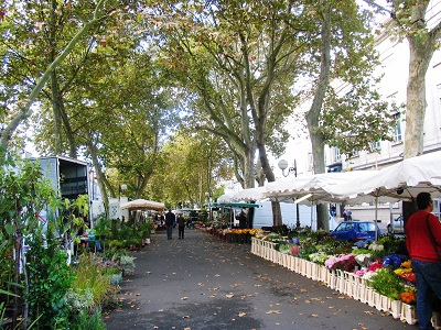 Tours flower market