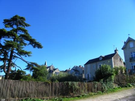 Village of Candes Saint Martin