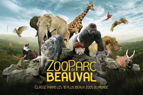Zoo Beauval in the Loire Valley