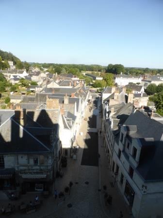 Langeais viewed from the tower of the chateau