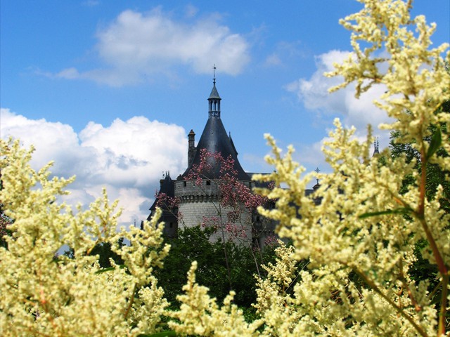 chaumont_garden_festival_2012 (44)